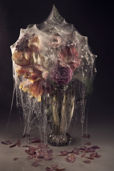 Photograph Azzurra Piccardi Coated Beauty on One Eyeland